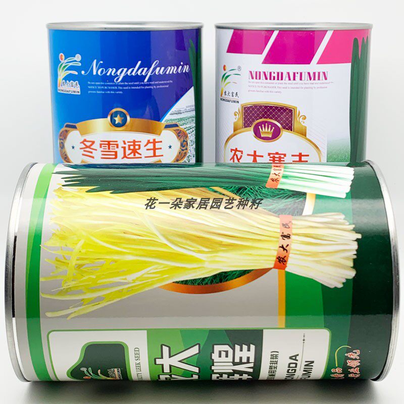 农大富民冬雪速生寒丰韭菜种籽高产耐寒不休眠宽叶雪韭韭菜种子