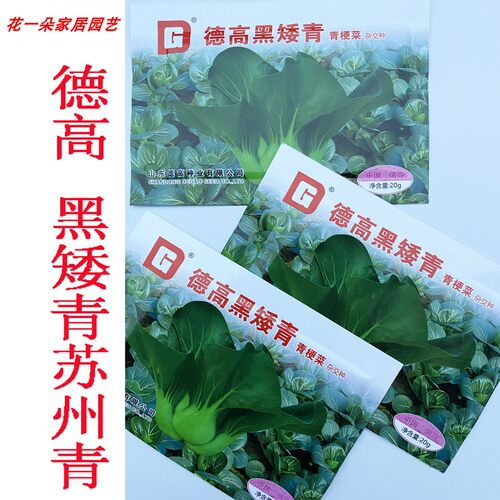 德高黑矮青青梗菜种子耐寒20克