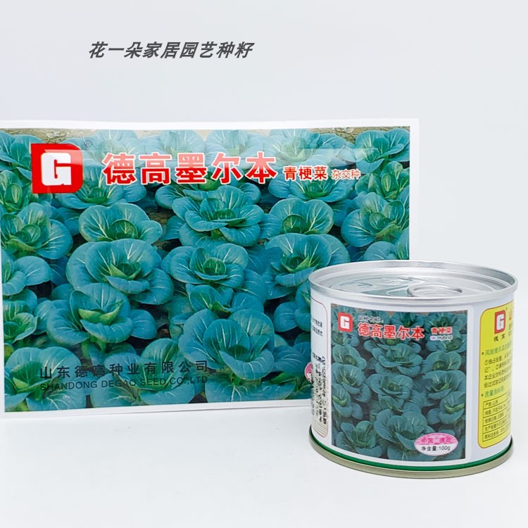 德高墨尔本苏州青种籽耐寒矮箕