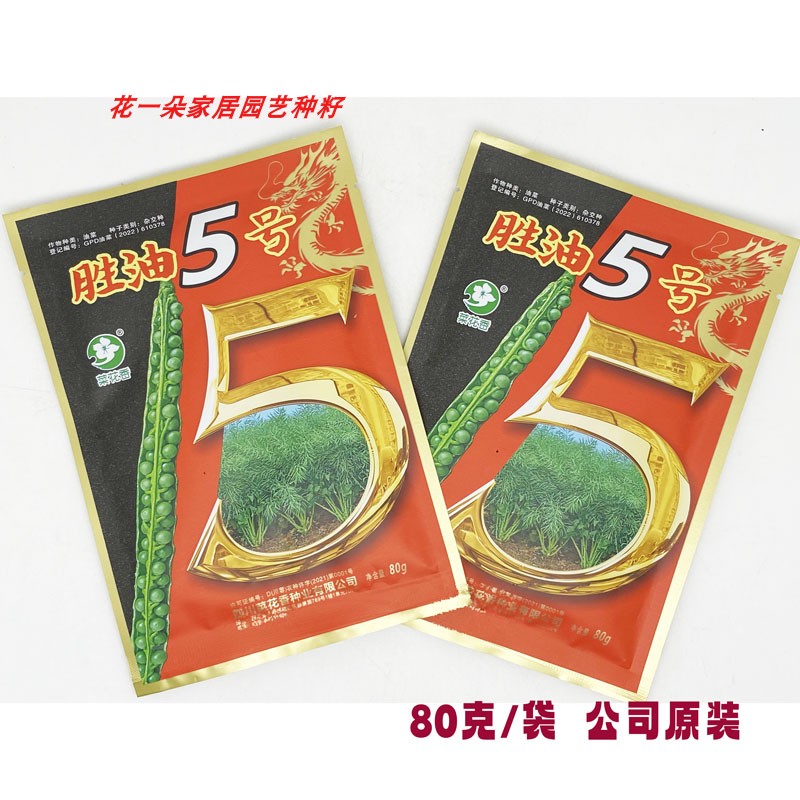 胜油5号太油66油菜种籽高产高油实心矮杆抗倒黑籽冬油菜种子