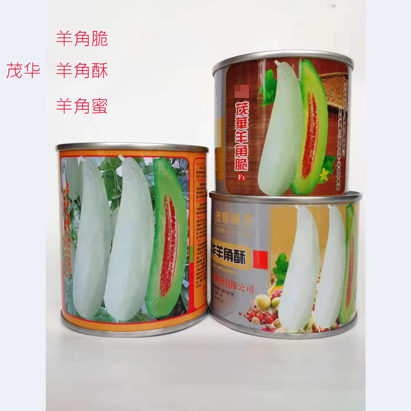 茂华羊角脆羊角蜜甜瓜种籽高产甜四季播大田薄皮羊角酥瓜种子