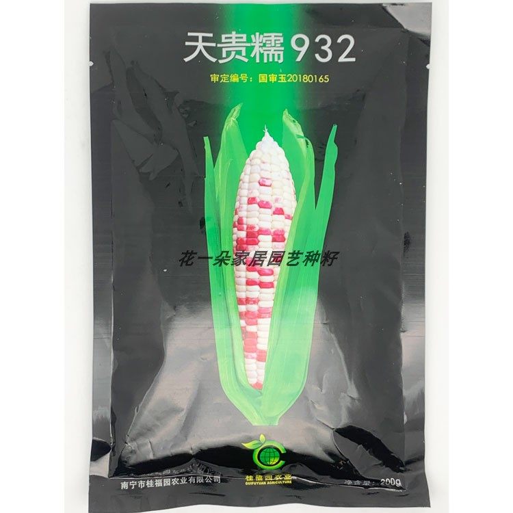 桂福园天贵糯932彩甜糯玉米种籽高产春秋播甜加糯小花花玉米种