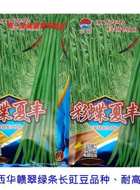 华赣耐热豇豆种籽翠绿厚肉