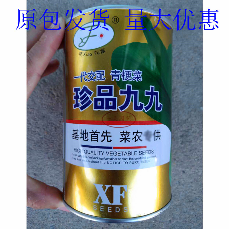 晓富珍品九九青梗菜种子早熟耐热蔬菜种子/种苗