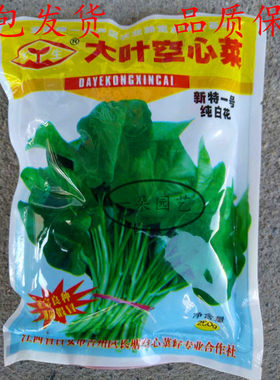 原装吉安大叶空心菜种子纯白花深绿抗病高产春夏秋季播空心菜种子
