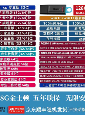 系统u盘金士顿电脑重装一键安装机win10专业7旗舰w11纯净pe启动