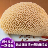 牛胃500g 新鲜牛肚 另有千层肚毛肚火锅食材 牛蜂窝肚 新鲜金钱肚