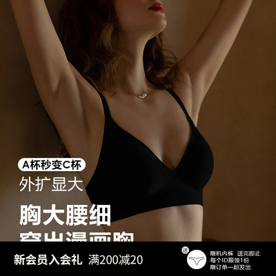 性感内衣女小胸聚拢文胸