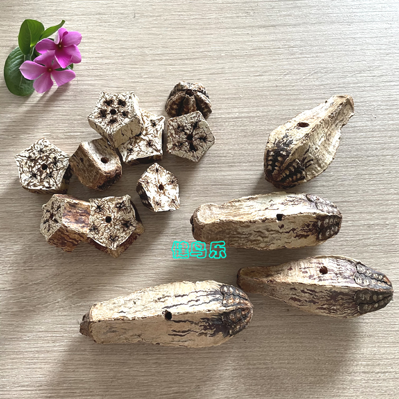 中小鹦鹉宠物鸟进口杨桃啃咬玩具