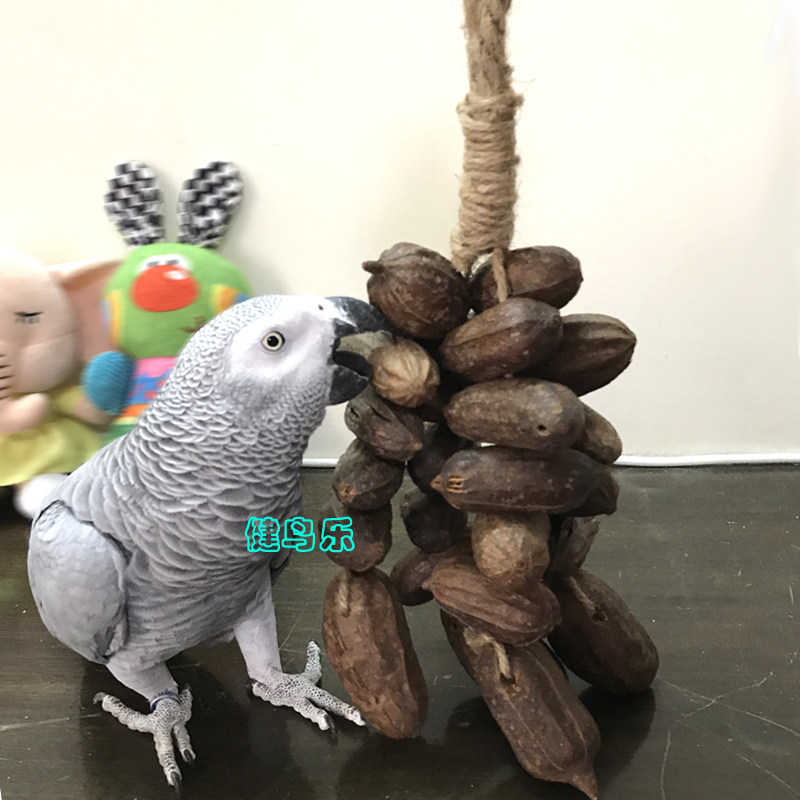大中型鹦鹉耐啃咬玩具天然大野果串金葵折亚马宠物鸟用品,宠物/宠物食品及用品,鸟禽其他,淘宝优惠券,粉丝福利购,淘宝优惠卷