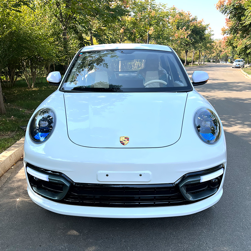 电动轿车电动四轮车家用代步车油电两用冷暖空调新能源低速电瓶车