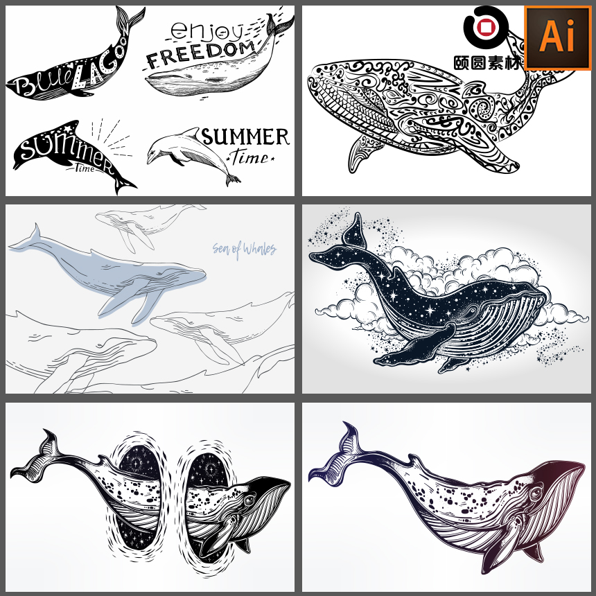 卡通线描英文鲸鱼海豚动物装饰画插画AI矢量设计素材图片