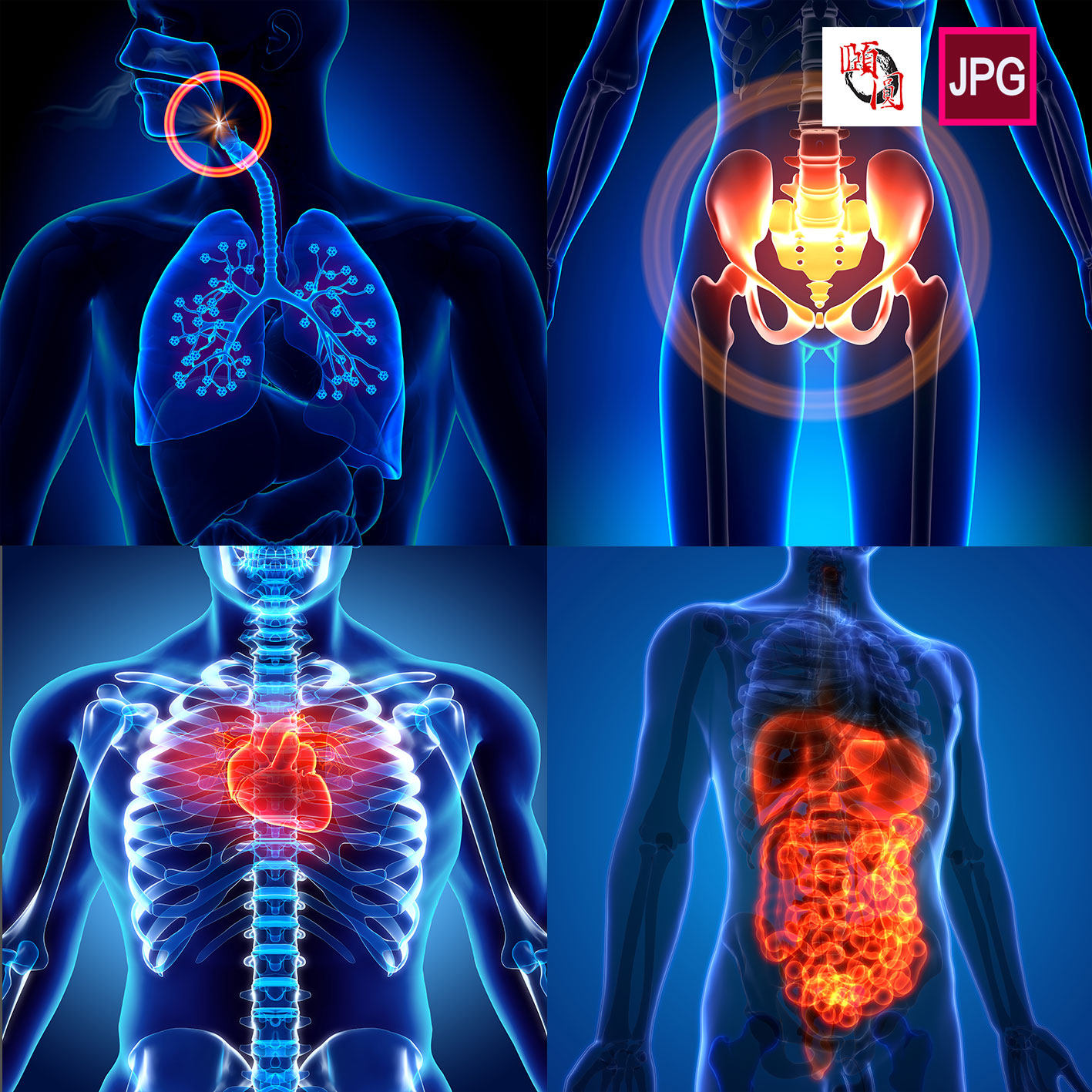 医学概念人体器官骨骼疼痛三维影像背景图片设计素材7367