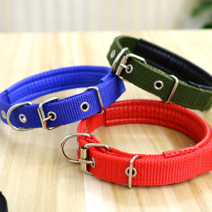 Single ring Dog Collars Collar Small and medium sized dogs Collar A collar for a horse Dogs A collar for a horse Pets Suppliesin the Pet/Pet food and supplies , Cat/Dog Supplies , Collars  category - from Buy2taobao.com to provide professional Taobao agent buy service