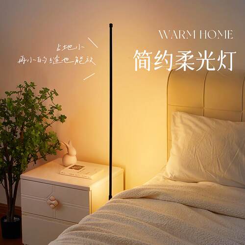 落地灯 客厅卧室插电式暖光立式灯 多色调节轻奢装饰氛围灯