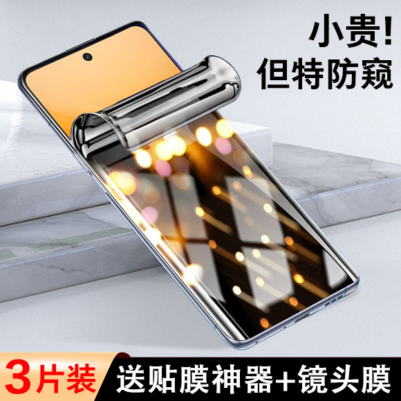 适用vivoy300pro防窥膜v2410a手机维沃vⅰvoy防偷窥ⅴivoy3oopro钢化viv0y丫por壳vivoⅤoy水凝pr0壳全包软膜