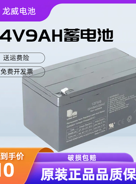 LONGWAY龙威12FM9蓄电池24V9AH万利达户外拉杆K歌音响电池电瓶