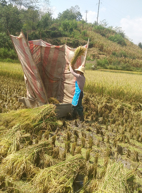 2025年新米高山恩施富硒大米 天然农家自种原生态绿色大米10斤装