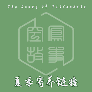 空凤故事寄养协议签订链接