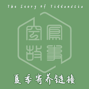 空凤故事寄养协议签订链接