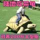 陆地巨型吃菜龟超大一对可下蛋家养长寿龟大体草龟 乌龟活物