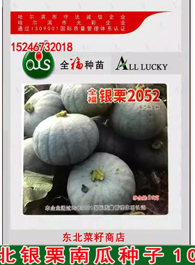 东北银栗南瓜  甜面甘香 板栗香味 甜面灰色窝瓜种子10克