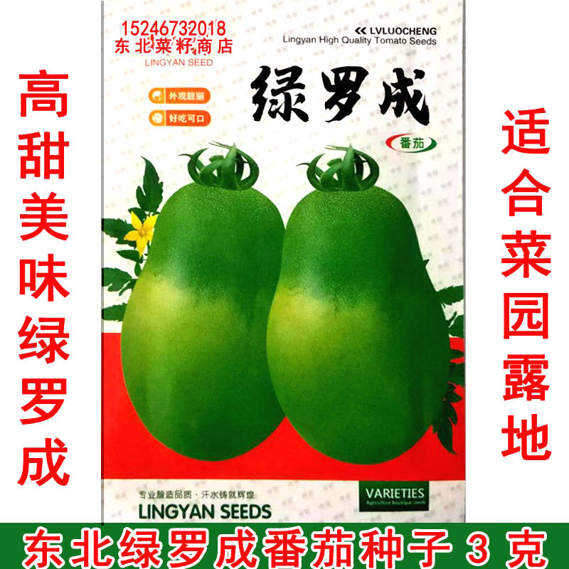 新东北牛奶绿柿子 绿色西红柿种子 贼不偷 绿罗成 番茄种子300粒
