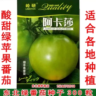 酸甜青苹果 菜园露地 绿番茄种子300粒 阿卡莎 东北贼不偷绿柿子