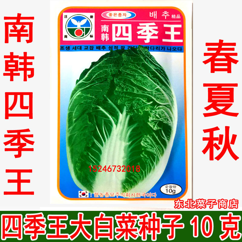 新籽 大白菜种子 原装 春秋早熟速生 南韩四季王大白菜种子10克