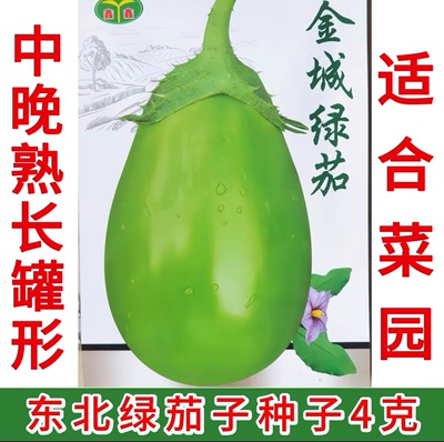 东北绿茄子种子   适合菜园露地 亮绿长罐形 绿茄种子4克