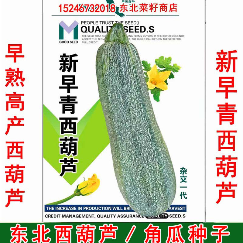 东北花皮角瓜种子 大棚露地 早熟高产抗病 大西葫芦杂交种10克