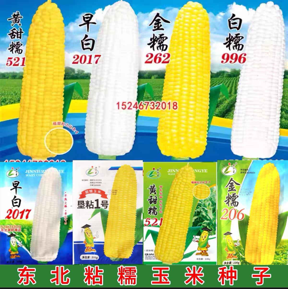东北白黄黑粘玉米种子 996甜蔬菜种子/种苗