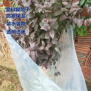加厚大棚膜塑料膜塑料纸加厚薄膜pe膜农膜透明塑料防雨防尘膜筒子