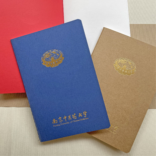 南中医简约线状软抄本