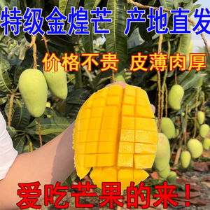 正宗广西金煌芒新鲜水仙芒大果大芒果应当季水果整箱产地直发