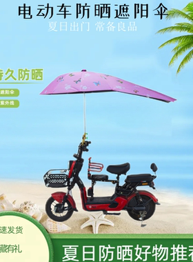 电动车遮阳伞户外艾皮尔雷厂家