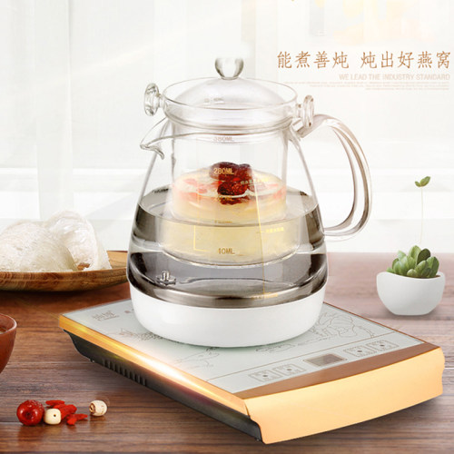 专业燕窝电炖锅养生壶