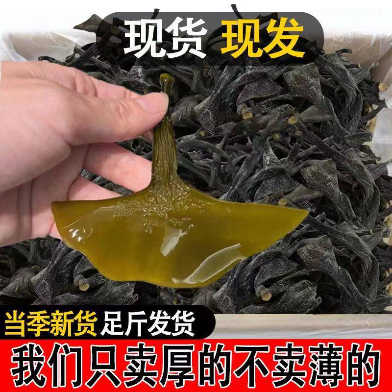 当季新货莆田短头海带头干货软糯厚实日晒无沙海带根凉拌煲汤食材