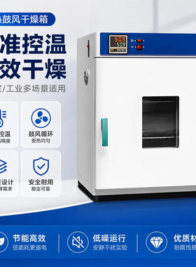 电热鼓风干燥箱实验室恒温烤箱