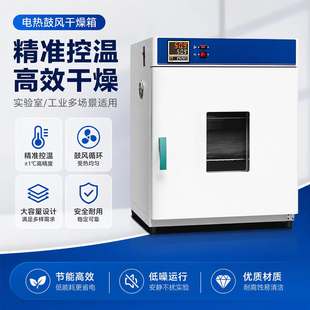 电热鼓风干燥箱高温加热小型工业用恒温烤箱医用烘干机实验室烘箱