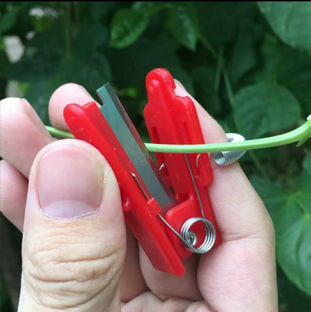 包邮摘菜神器果蔬小铡刀手指采摘