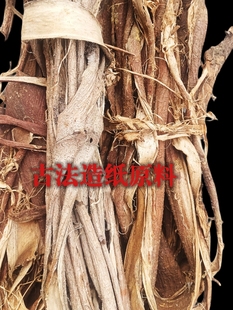 构树皮 干 楮树皮古法造纸材料包造纸原料造纸术手工幼儿园造纸术