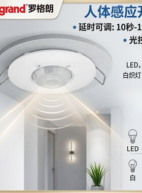 顶装智能可调光线延时家用