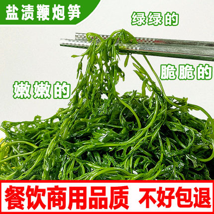 盐渍鞭炮笋海藻菜新鲜马尾藻长寿菜荣成海草5斤凉拌商用火锅食材