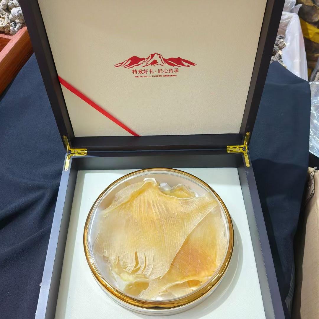 特大鱼翅干货海狗翅海翅