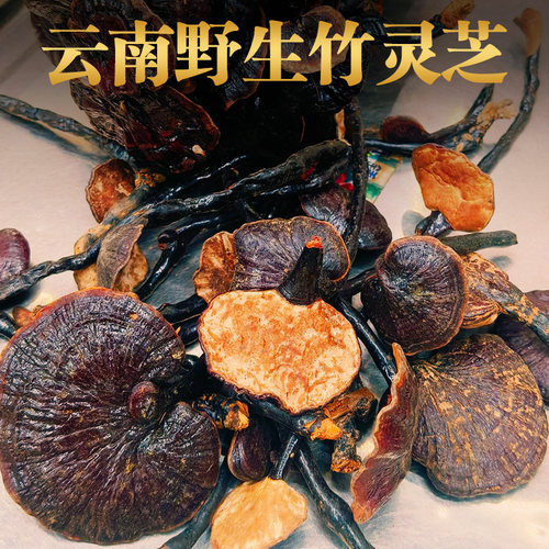 云南深山特级野生灵芝干货250g纯天然竹灵芝小红灵紫灵芝中药材