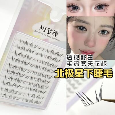 漫画北极星下睫毛自然野生毛流感分段式透明梗新手大容量懒人梦婕