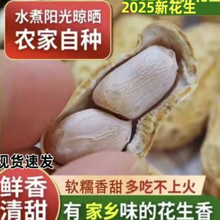 广东客家河源中忠信水煮花生晒干水煮花生开袋即食【新货】