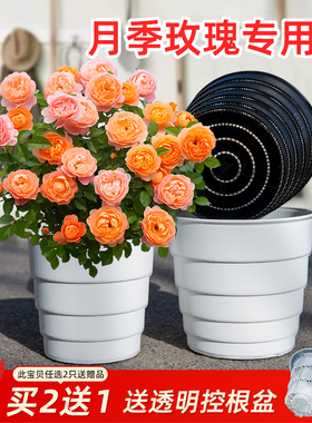 美莳玫瑰月季花盆塑料透气超陶瓷防烂根控根爬藤专用阳台特大号盆