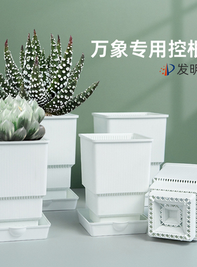 美莳万象多肉控根花盆塑料透气方形高桩小老桩十二卷玉露专用花盆
